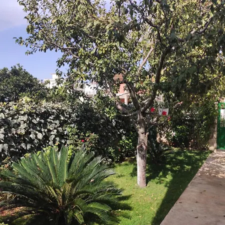 Dema Guesthouse Ksamil Zewnętrze zdjęcie